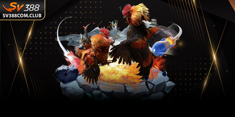 Điều Khoản Và Điều Kiện Khi Tham Gia SV388 Mà Người Chơi Cần Biết 3 SV388 luôn cập nhật chính sách điều khoản và điều kiện bảo mật để phù hợp với quy định pháp luật cũng như thực tiễn hoạt động.