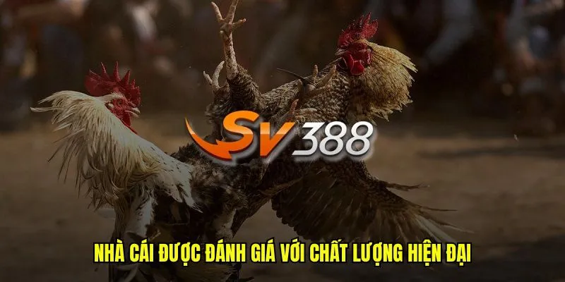 Giới Thiệu SV388: Nhà Cái Uy Tín, Chất Lượng Đảm Bảo 1 Nhà cái được đánh giá với chất lượng hiện đại