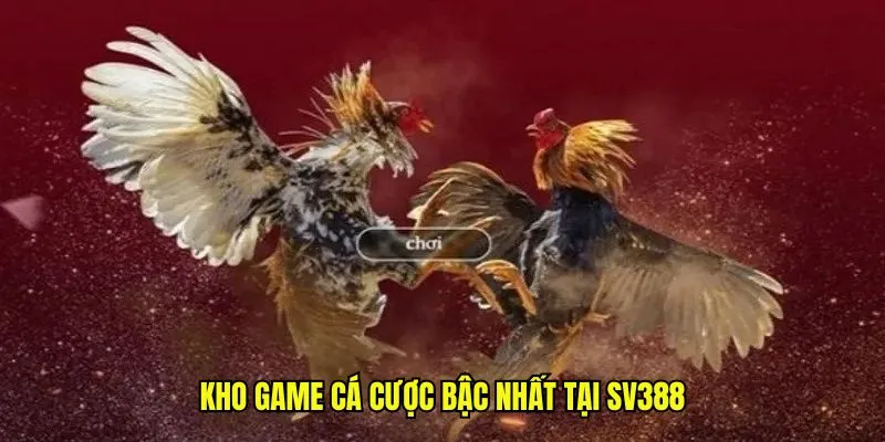 Giới Thiệu SV388: Nhà Cái Uy Tín, Chất Lượng Đảm Bảo 3 Kho game cá cược bậc nhất tại SV388