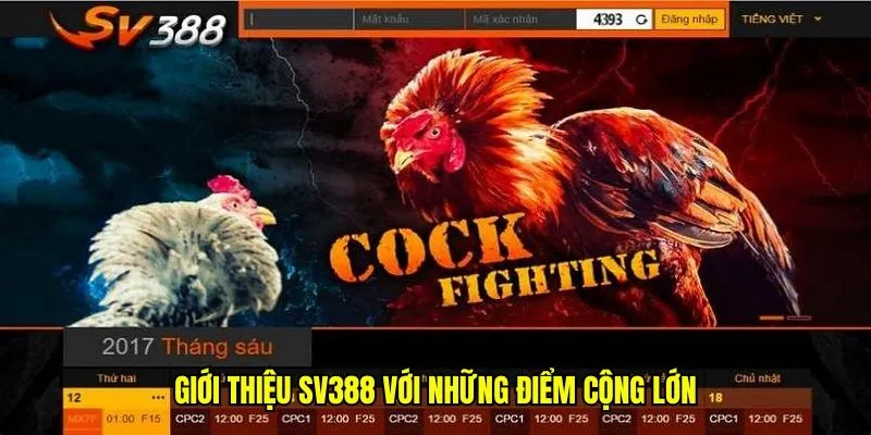 Giới Thiệu SV388: Nhà Cái Uy Tín, Chất Lượng Đảm Bảo 2 Giới thiệu SV388 với những điểm cộng lớn